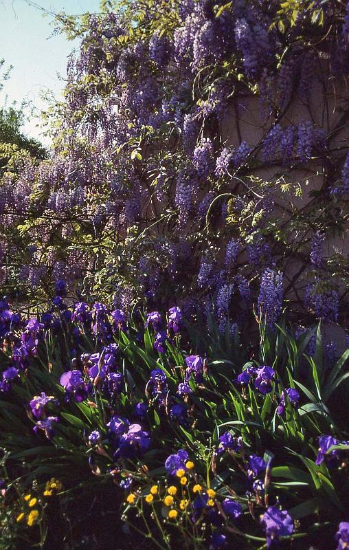 WT 2500 325-03 France 92.jpg